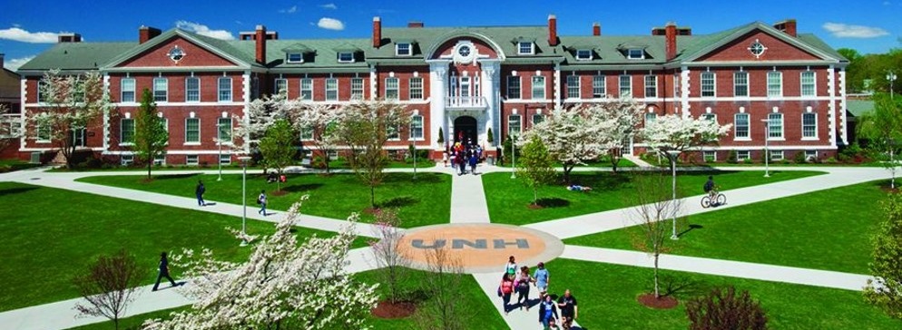 Overview of the University of New Haven courtyard.