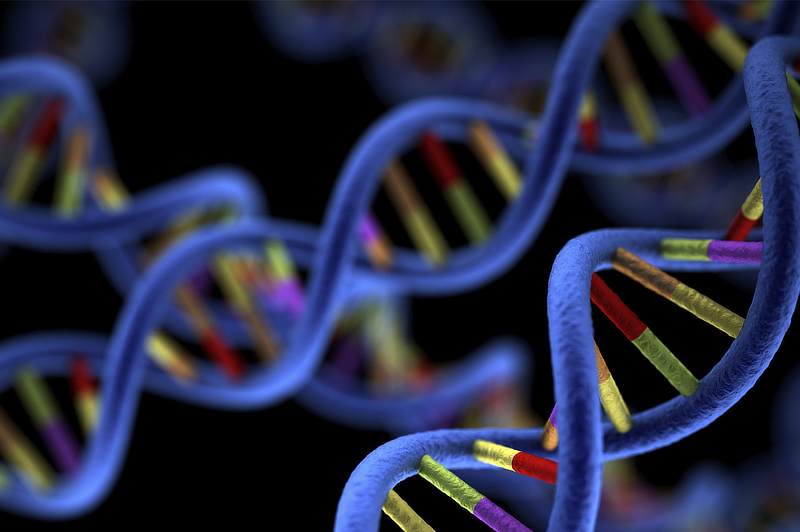 Closeup of DNA.
